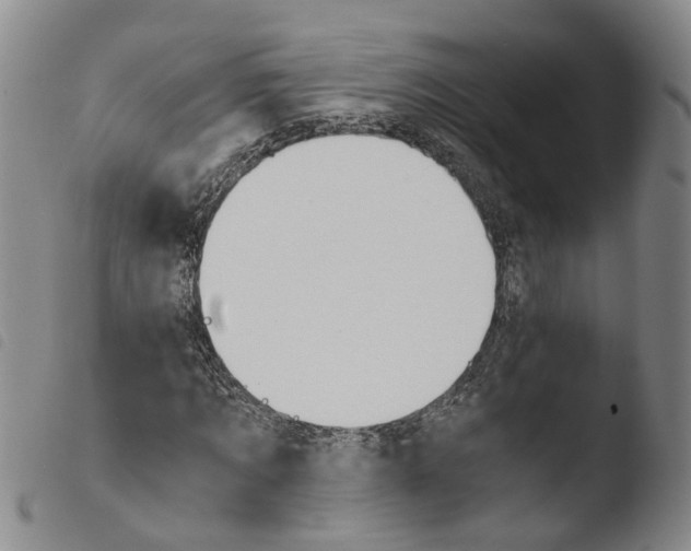 X0000103480869200810241035