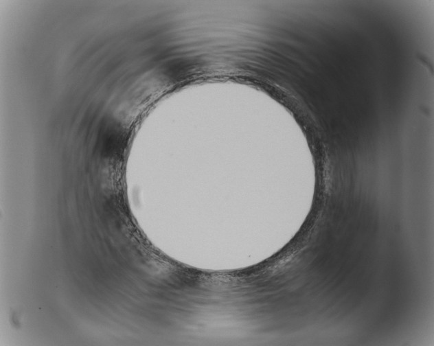 X0000103480873200810241035