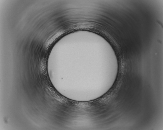 X0000103480874200810241035