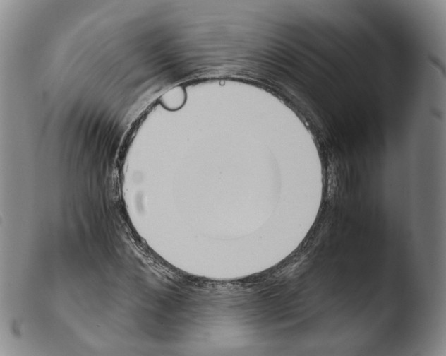 X0000103480876200810241035