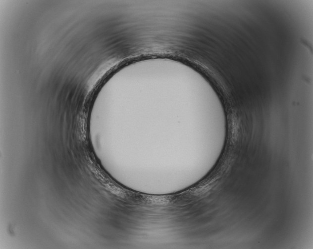 X0000103480878200810241035