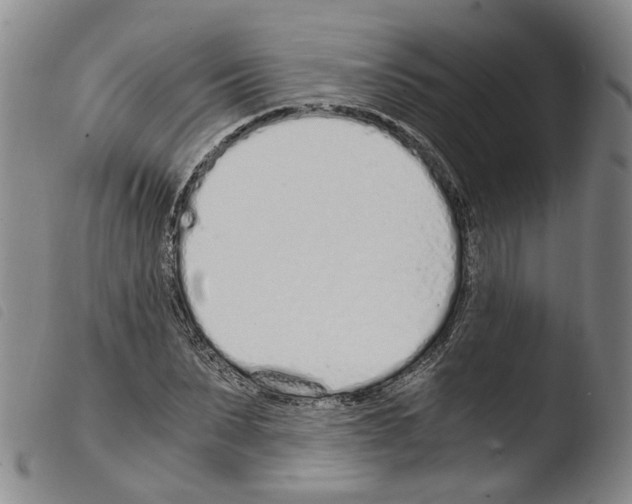 X0000103480879200810241035
