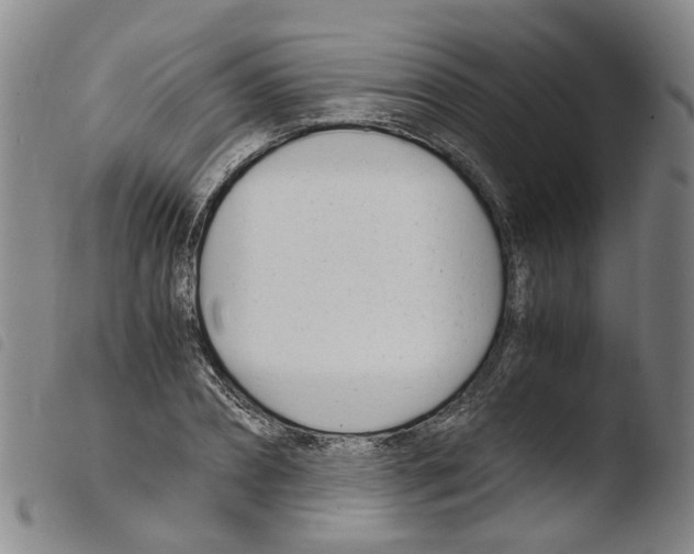 X0000103480882200810241035