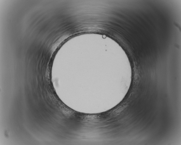 X0000103480883200810241035