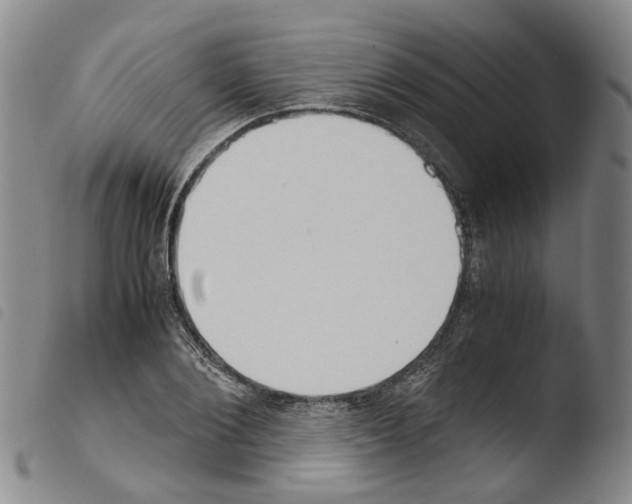 X0000103480884200810241035