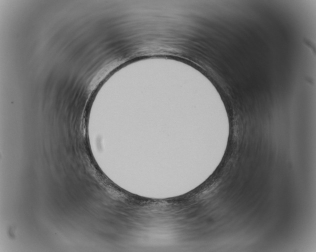 X0000103480885200810241035