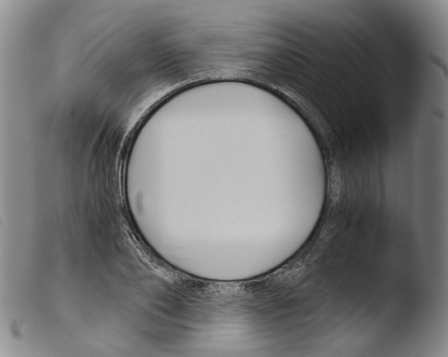 X0000103480886200810241035