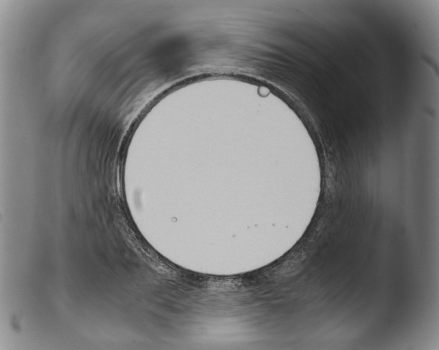 X0000103480887200810241035