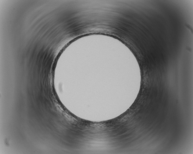 X0000103480888200810241035