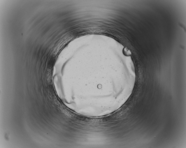 X0000103480889200810241035
