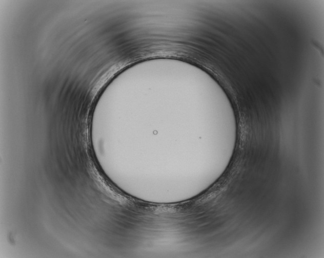 X0000103480890200810241035