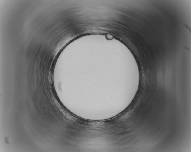 X0000103480893200810241035
