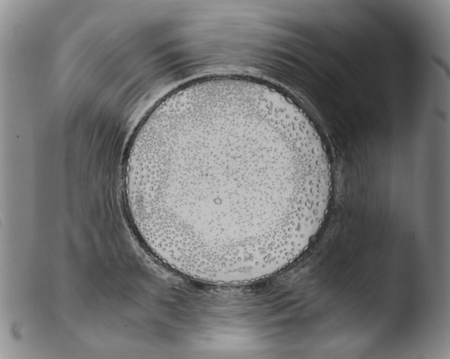 X0000103480895200810241035