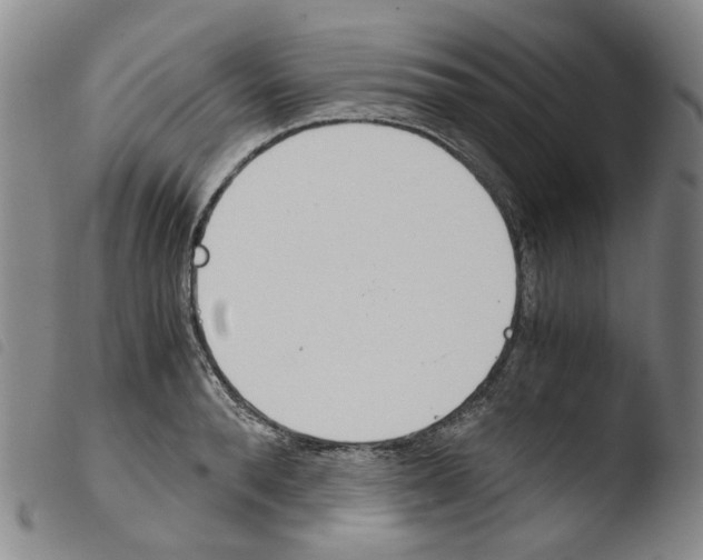 X0000103480896200810241035
