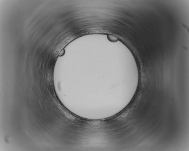 X0000103480897200810241035