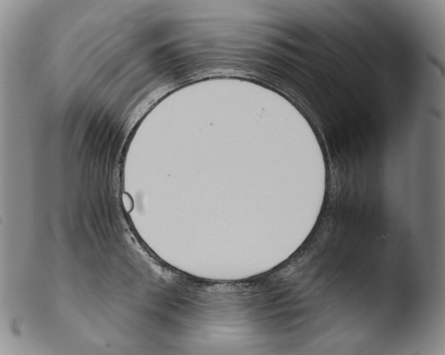 X0000103480898200810241035