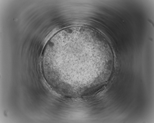 X0000103480899200810241035