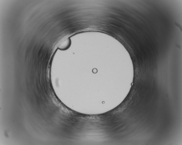 X0000103480900200810241035