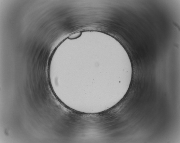 X0000103480902200810241035
