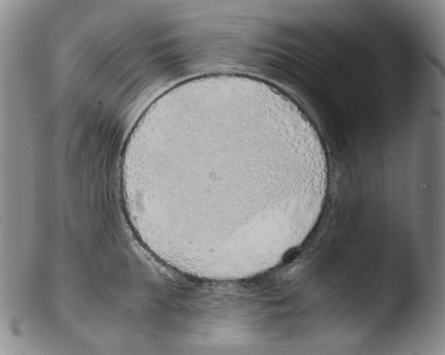 X0000103480903200810241035