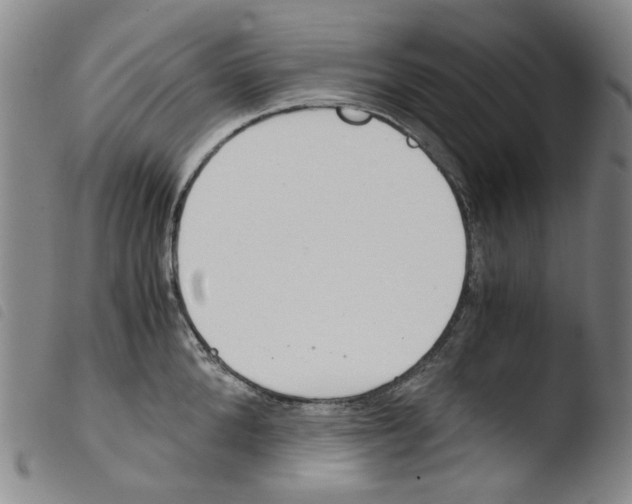 X0000103480904200810241035