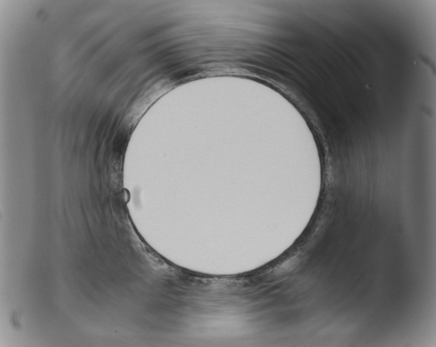 X0000103480905200810241035