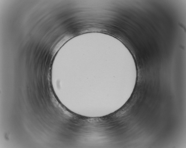 X0000103480906200810241035