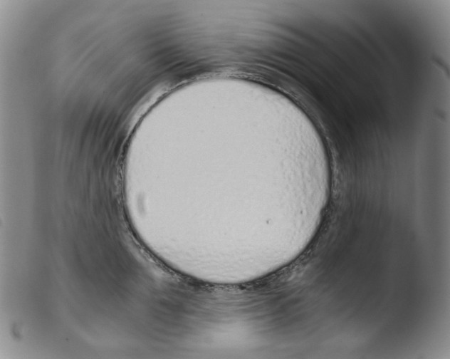X0000103480907200810241035