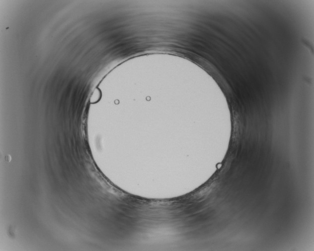 X0000103480908200810241035
