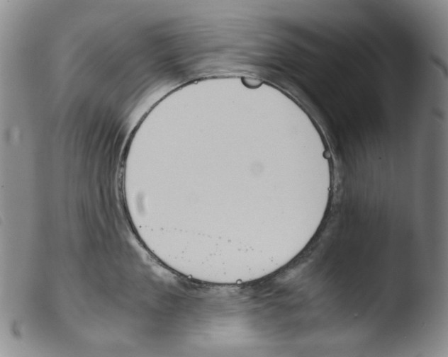 X0000103480909200810241035