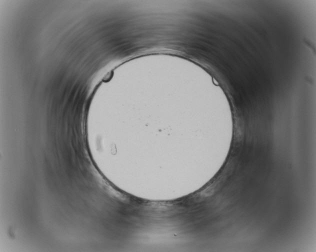 X0000103480910200810241035