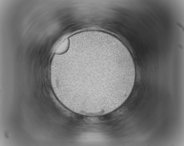 X0000103480911200810241035