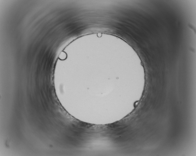 X0000103480912200810241035
