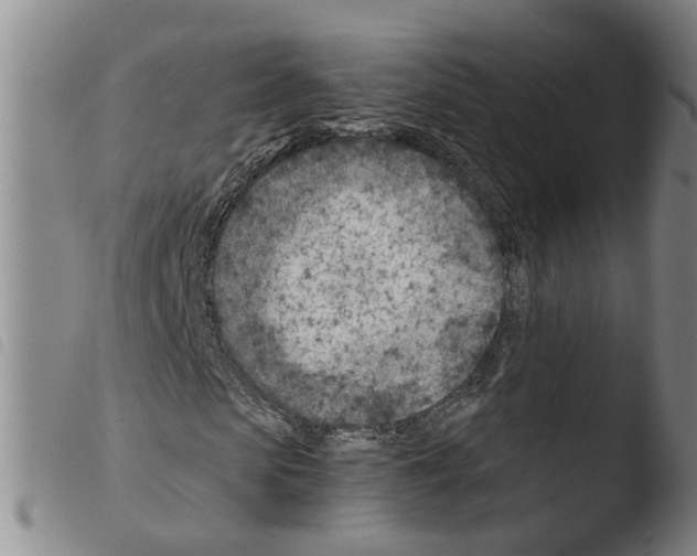 X0000103480913200810241034