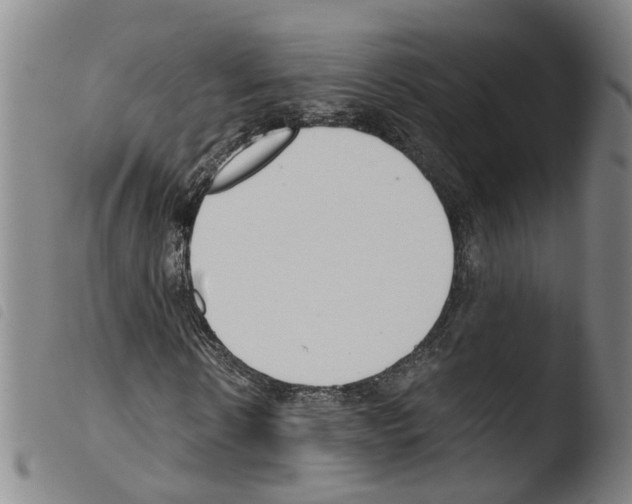 X0000103480914200810241034