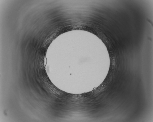 X0000103480916200810241034