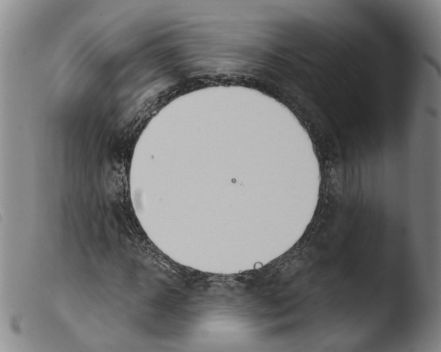 X0000103480918200810241034