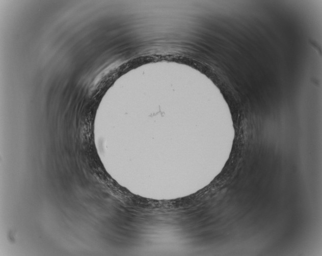 X0000103480920200810241034