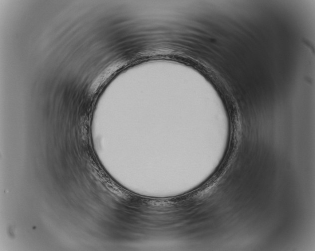 X0000103480921200810241034