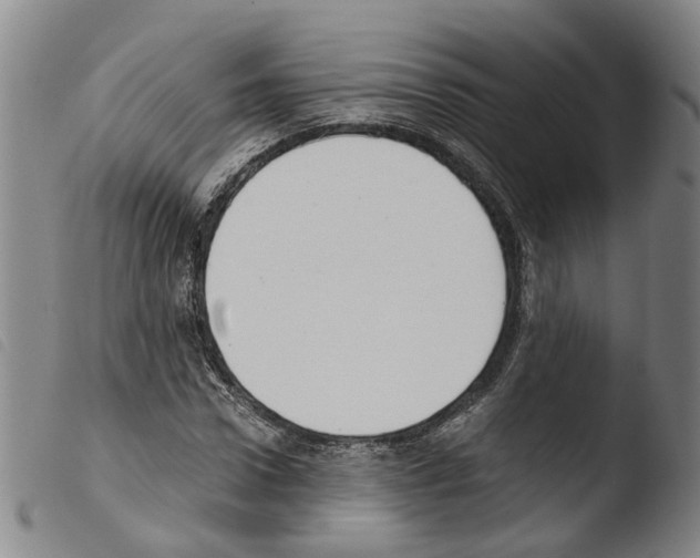 X0000103480922200810241034