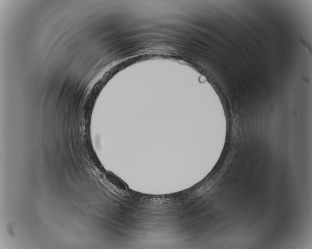 X0000103480923200810241034