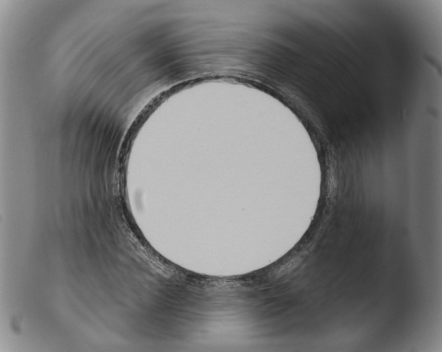 X0000103480924200810241034