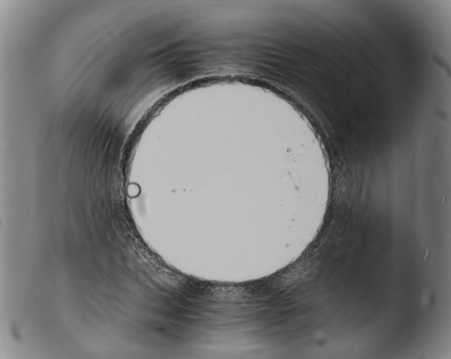 X0000103480927200810241034