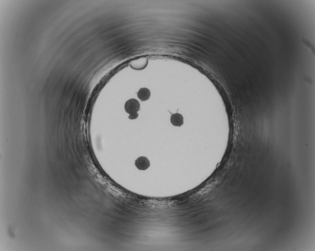 X0000103480928200810241034