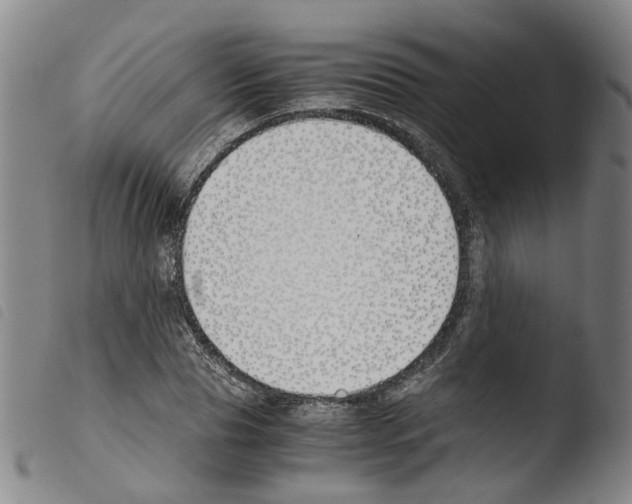 X0000103480929200810241034