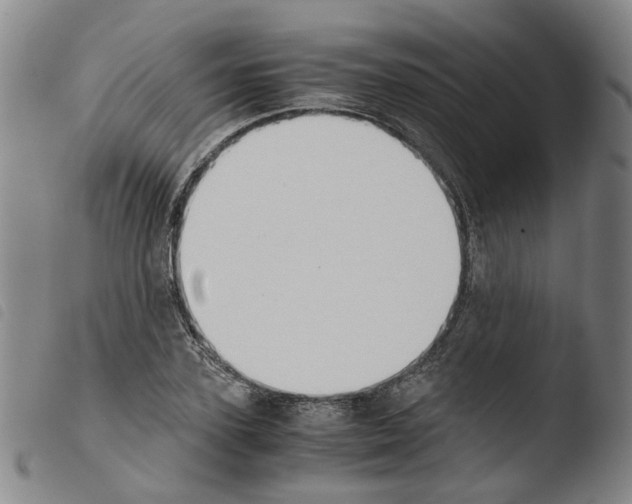 X0000103480931200810241034