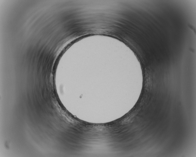 X0000103480932200810241034