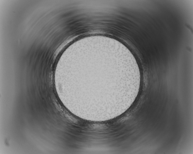 X0000103480933200810241034