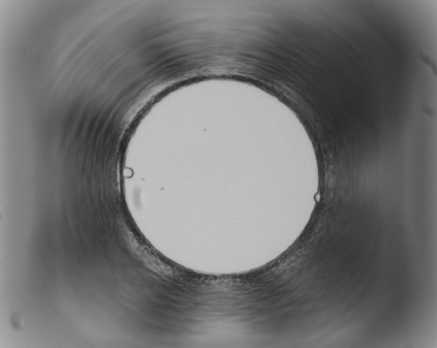 X0000103480934200810241034