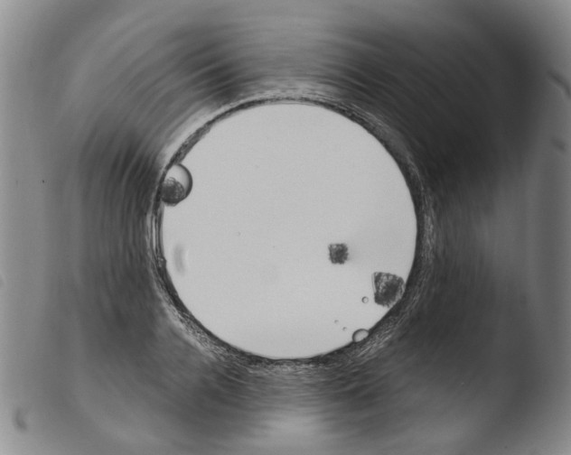 X0000103480936200810241034